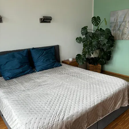 Apartment Penthouse-wohnung Mit Flussblick *